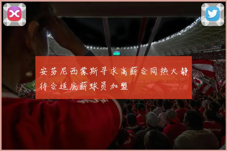 安芬尼西蒙斯寻求高薪合同热火静待合适底薪球员加盟